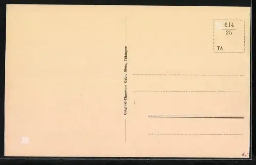 AK Rastatt, Kaiserstrasse aus der Vogelschau