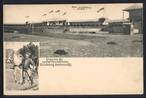 AK Hannover, Landwirthschaftliche Ausstellung 1903, Bauer mit Pferdegespann, Arena zur Vorführung der Tiere mit Gebäuden