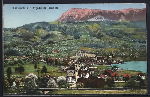 AK Küssnacht, Ortsansicht mit Rigi-Kulm