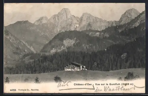 AK Château-d`Oex, Vue sur la Gumfluh