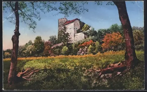 AK Habsburg, Schloss Habsburg, Stammschloss des Oesterreich. Kaiserhauses