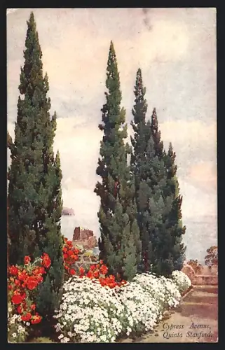 Künstler-AK Madeira, Quinta Stanford, Cypress Avenue