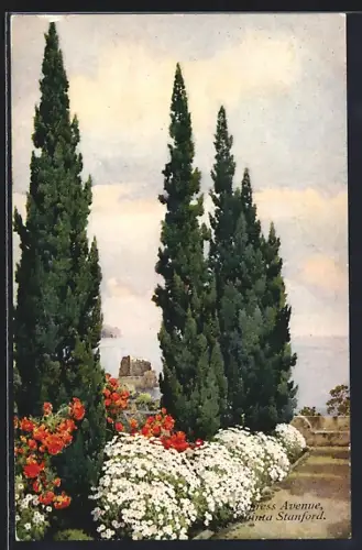 AK Madeira, Quinta Stanford, Cypress Avenue