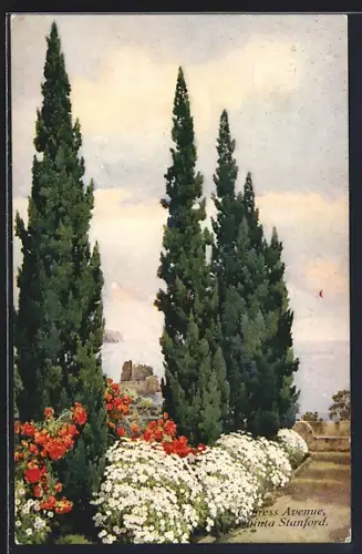 AK Madeira, Cypress Avenue, Quinta Stanford