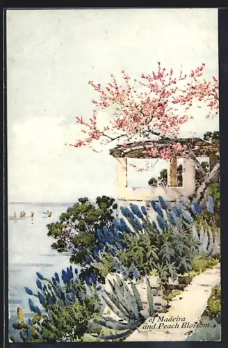 Künstler-AK Madeira, Pride of Madeira and Peach Blossom