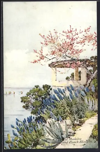 Künstler-AK Madeira, Pride of Madeira and Peach Blossom