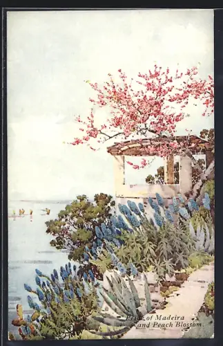 Künstler-AK Madeira, Pride of Madeira and Peach Blossom