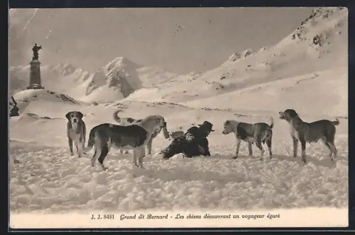 AK Grand St. Bernard, Les chiens découvrant un voyageur égaré, Bernhardiner