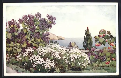 AK Madeira, Garten