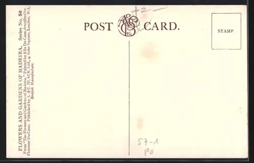 Künstler-AK Madeira, Bignonia Venusta