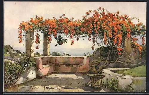 Künstler-AK Madeira, Bignonia Venusta