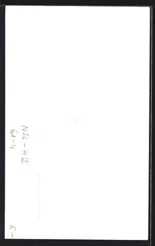 AK Schreiberhau, Geschnitzter Wegweiser von Helmut Benna