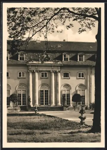 AK Dessau, Schloss Mosigkau, Staatl. Museum, Mittelrisalit der Südfront