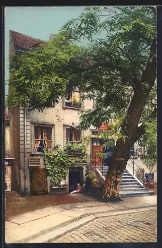 AK Berlin, Jüdenhof mit ältester Akazie Berlins