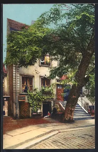 AK Berlin, Jüdenhof mit ältester Akazie Berlins