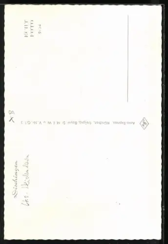 AK Dischingen, Ortsansicht vom Flugzeug aus