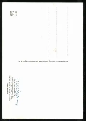 AK Hagnau / Bodensee, Hotel-Haus Camill