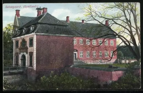 AK Selsogaard /Sjaelland, Blick zum Schloss