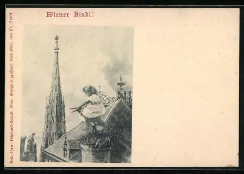 AK Wien, Wiener Kindl reitet auf einem Storch, Stefansdom