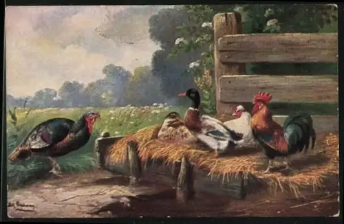 Künstler-AK Alfred Schönian: Enten, Truthahn, Hühner