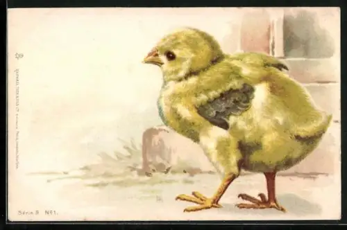 Lithographie Osterküken steht vor einer Mauer