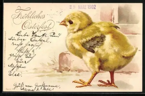 Lithographie Osterküken steht vor einer Mauer, Fröhliches Osterfest
