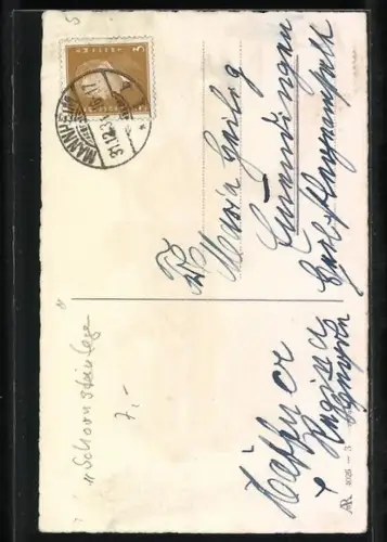 AK Neujahrswünsche, Schornsteinfeger und Glücksschwein und Klee