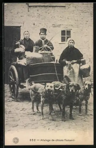 AK Attelage de chiens flamand, Flämisches Hundegespann