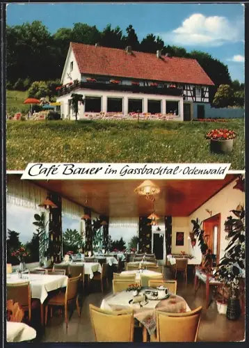 AK Hammelbach, Café Bauer mit Gastraum