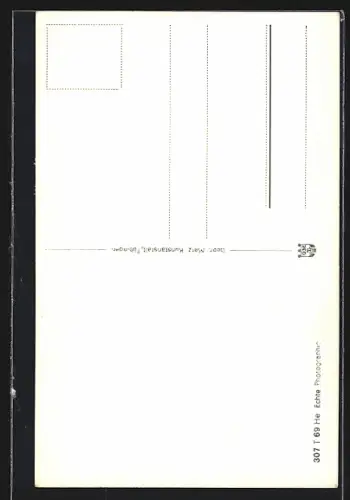 AK Breisach a. Rhein, Ortsansicht mit Schiffsbrücke