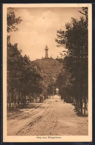 AK Berlin-Köpenick, Weg zum Müggelturm / Restaurant Marienlust R. Streichhan