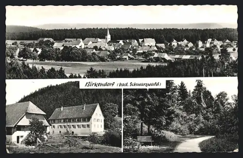AK Birkendorf /Bad. Schwarzwald, Gesamtansicht, Illmühle, Idylle im Schlüchtal