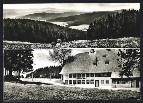 AK Schwärzenbach / Schwarzwald, Gasthaus Ahorn v. Hubert Knöpfle