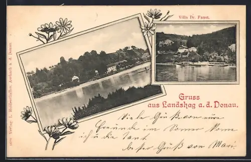 AK Feldkirchen an der Donau, Gruss aus Landshaag, Villa Dr. Faust mit Dampfer, Uferpartie