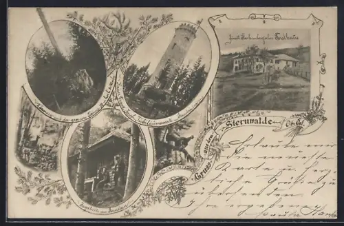 AK Bad Leonfelden, Fürstl. Karhemberg`sches Forsthaus, Jagdhütte am Sternstein, Tannen mit der grossen Tanne