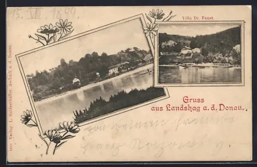 AK Feldkirchen an der Donau, Gruss aus Landshaag, Villa Dr. Faust mit Dampfer, Uferpartie