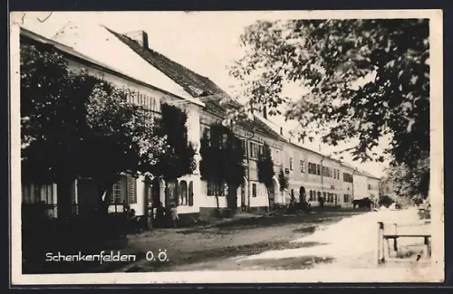 AK Schenkenfelden /O. Ö., Strassenpartie mit Kindern