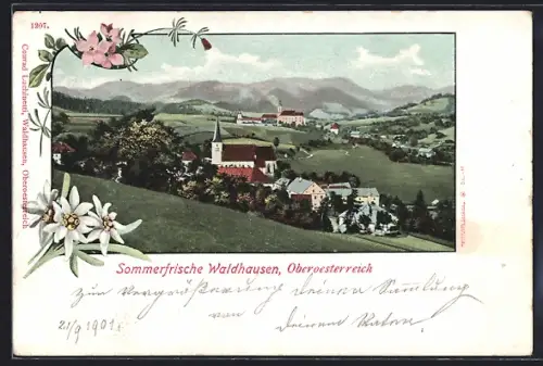 Künstler-AK Waldhausen /O.-Oe., Teilansicht, Passepartout mit Blumen