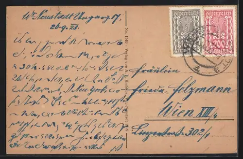 AK Wr.-Neustadt, Knollteich im Akadiemieparke