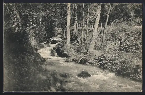 AK Aspang /N.-Oe., Wasserfall
