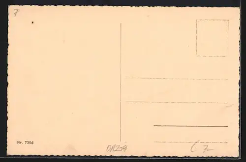 AK Enns, Ortspartie mit Schloss