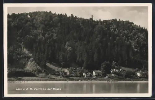AK Linz a. d. D., Partie an der Donau