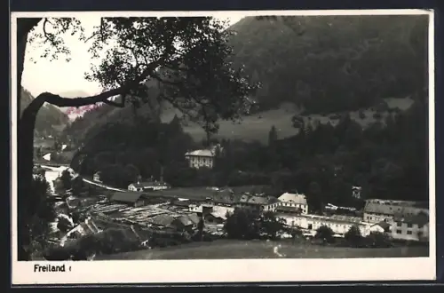 AK Türnitz /N.-Oe., Freiland, Blick auf den Ort