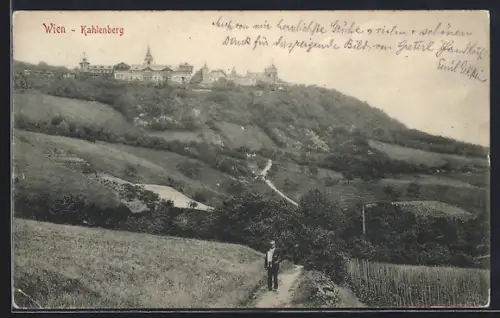 AK Wien, Kahlenberg, Aussicht vom Feldweg