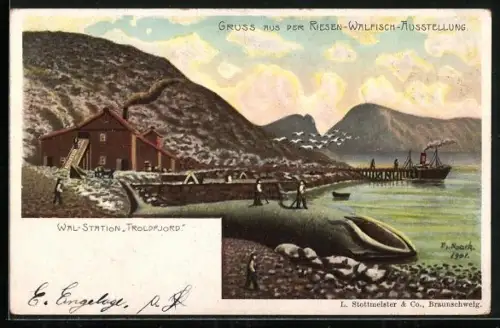 Lithographie Troldfjord, Riesen-Walfisch-Ausstellung, Wal-Station Troldfjord