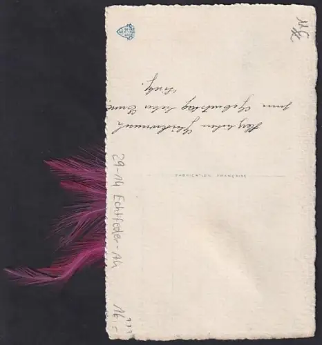 Echtfeder-AK Vogel auf einer Palme mit echten Federn