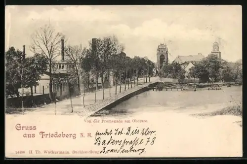 AK Friedeberg /N. M., Von der Promenade am Obersee