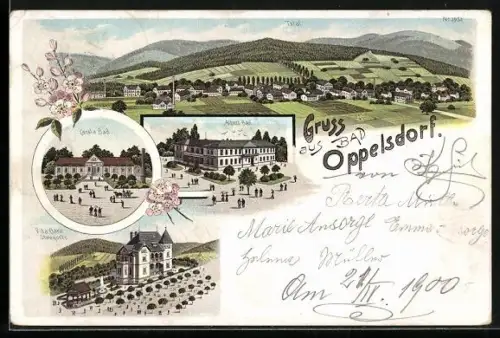 Lithographie Oppelsdorf, Villa Clara, Stahlquelle, Carolabad, Albertbad, Ortsansicht