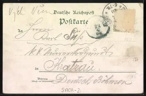 Lithographie Oppelsdorf, Villa Clara, Stahlquelle, Carolabad, Albertbad, Ortsansicht