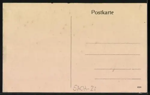 AK Reichenau, Ortspartie mit Brücke